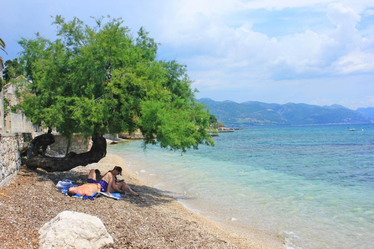 Apartments By The Sea Orebic, Peljesac - 4496 Dış mekan fotoğraf